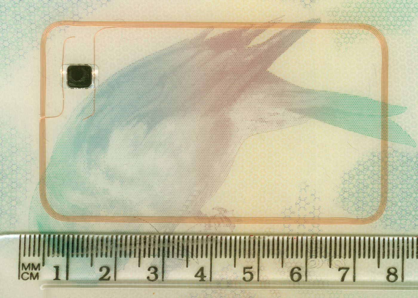 How Online Age Verification Works, and What Every Method Costs in Privacy